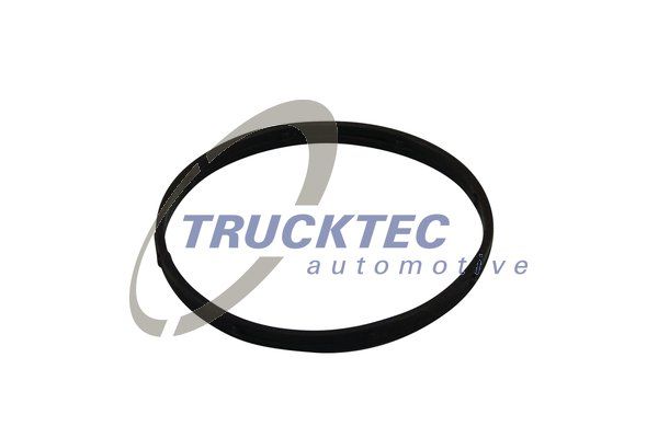 TRUCKTEC AUTOMOTIVE tarpiklis, įsiurbimo kolektoriaus korpusas 02.14.174